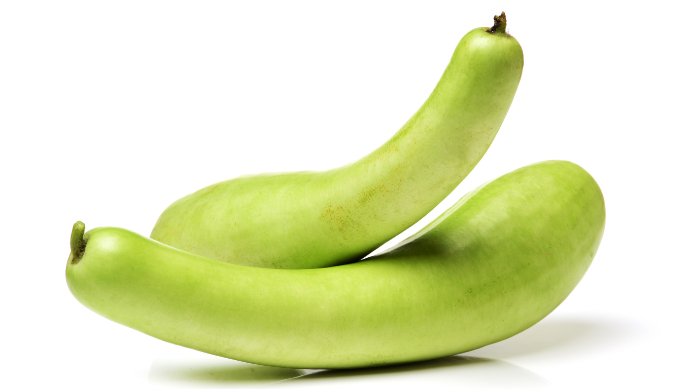 Bottle Gourd